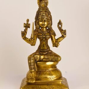 56a1922 edited edited scaled 1.jpg