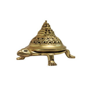 Brass Turtle Sambrini 5.5 Inch