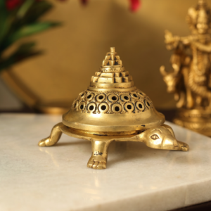 Brass Turtle Sambrini 5.5 Inch